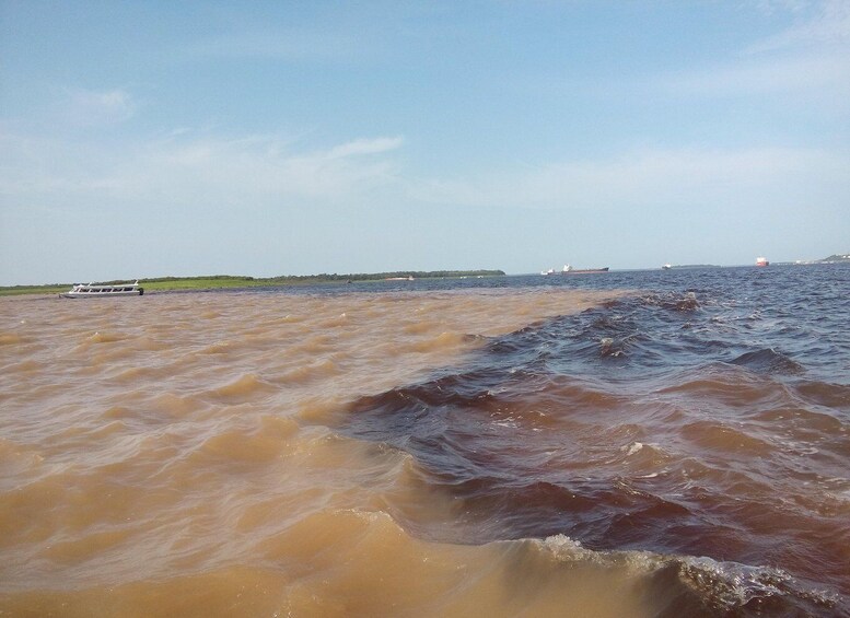 Picture 26 for Activity Manaus: Multi-Day Amazon Survival Trip with Camping 2