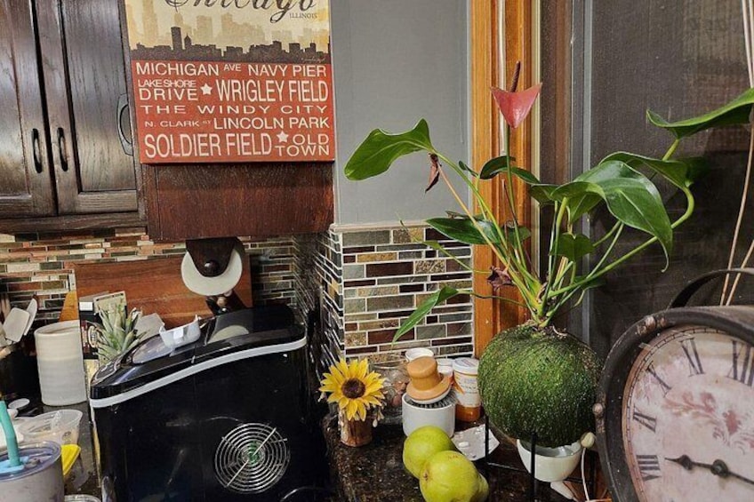 Private Deep Dish Pizza or Pasta Making Class Near Chicago 2