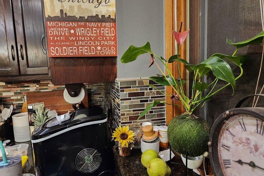 PRIVATE Chicago-Style Pizza or Pasta Cooking Class Near Chicago 2