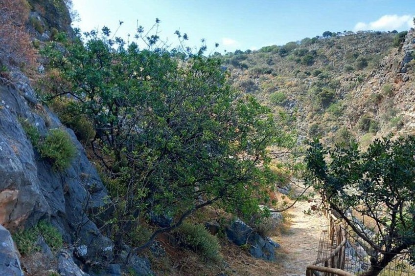 Un pendio roccioso con vegetazione rada e un sentiero stretto. 3