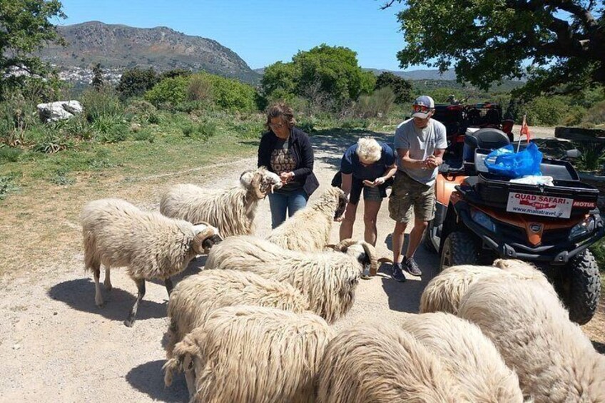 Off-road Buggy Safari in Crete with a Guide 2