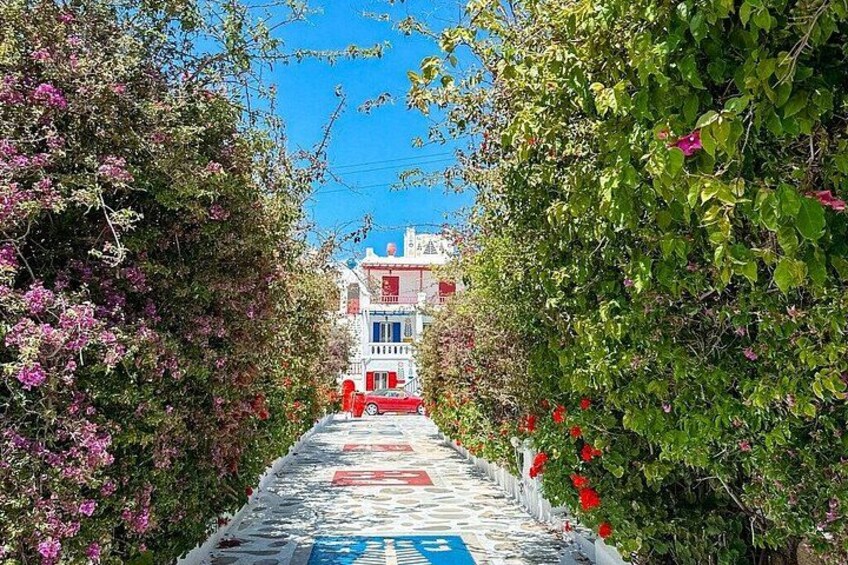Half Day Private Island Tour with a Local in Mykonos 3