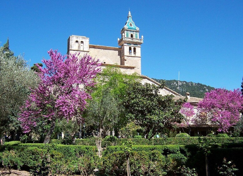A historic building with a bell tower and a garden with flowering trees. 1