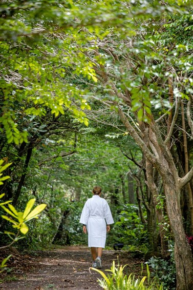 Picture 6 for Activity Rincon de la Vieja National Park: Natural Volcanic Spa 5