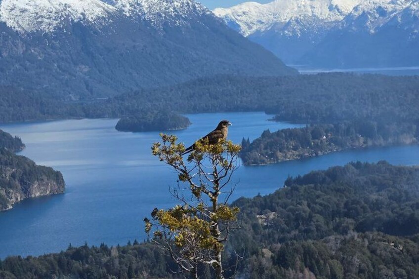 Private Full Day Tour of Bariloche 1