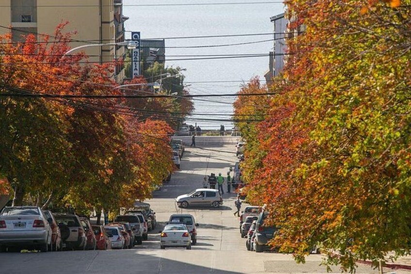 Private Tour of Bariloche and Los Balcones Panoramicos 5