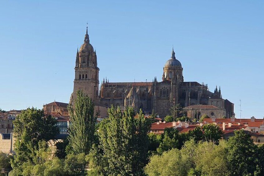 Complete Private Guided Tour of the City of Salamanca