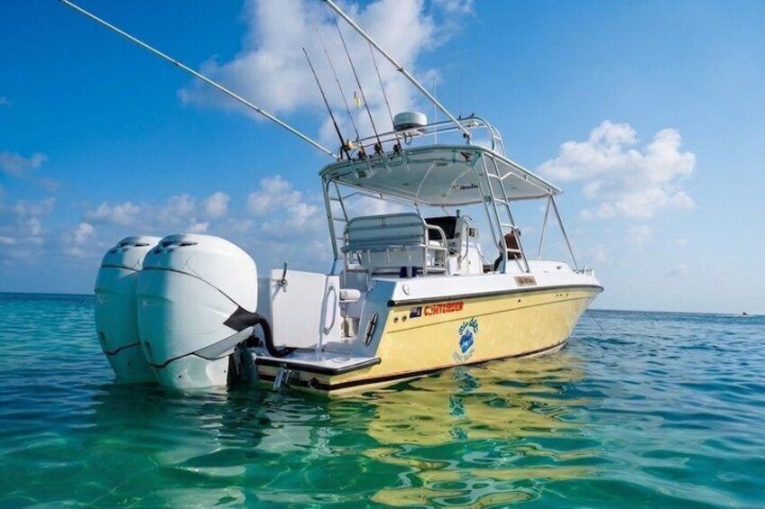 Stingray City Experience Plus Two Snorkeling spots Private Boat 2