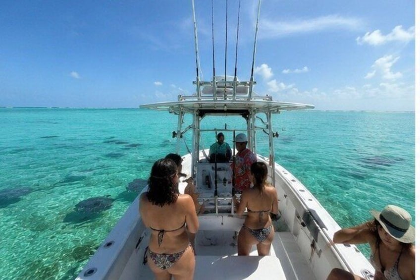 Stingray City Experience Plus Two Snorkeling spots Private Boat 3