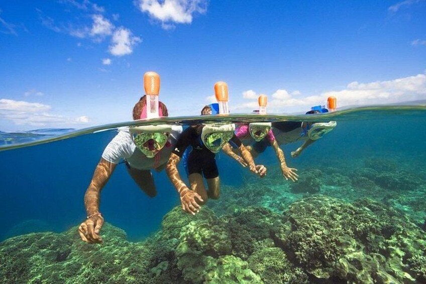 Cressi Full Face Snorkelling masks included 4