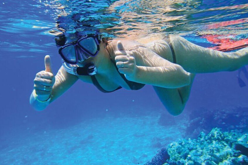 Cressi Traditional Snorkelling masks included 4