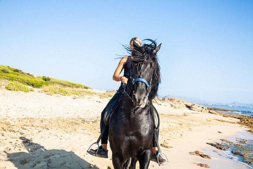 3-Hour Beach Horse Riding to Discover the Beauty of Alcudia Bay 3