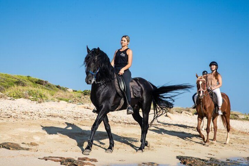 3-Hour Beach Horse Riding to Discover the Beauty of Alcudia Bay