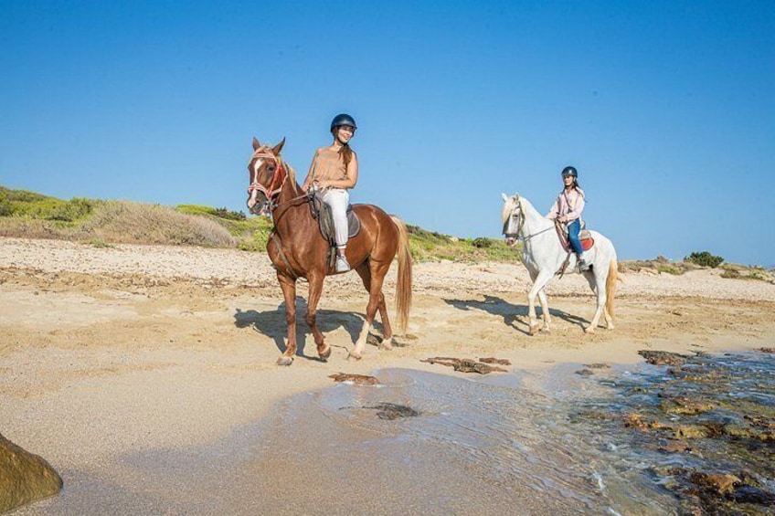3-Hour Beach Horse Riding to Discover the Beauty of Alcudia Bay 4
