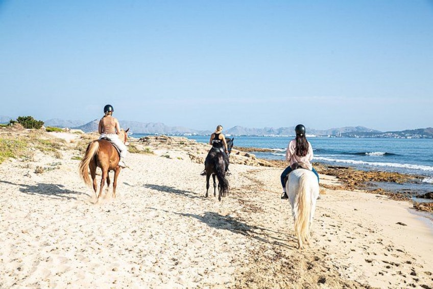 Tre personer rider på heste på en sandstrand med oceanen og bjerge i baggrunden. 4