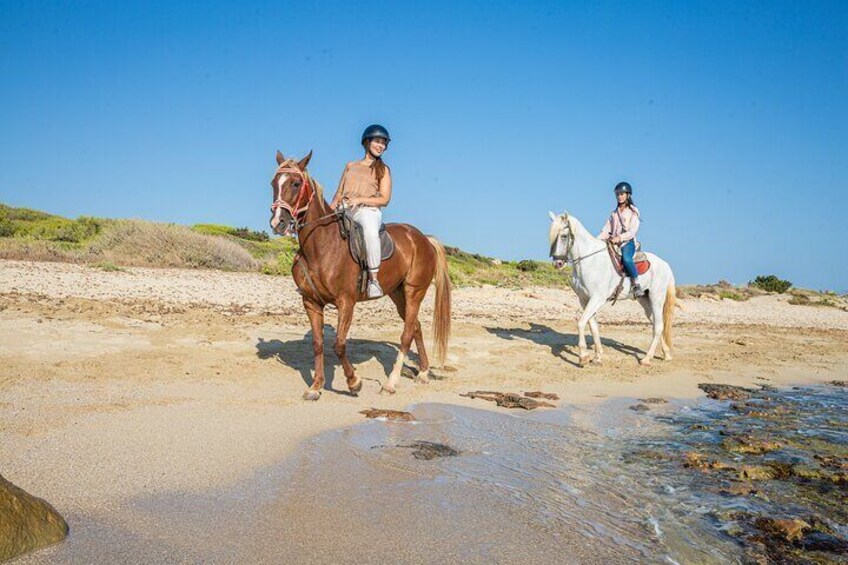 3-Hour Beach Horse Riding to Discover the Beauty of Alcudia Bay