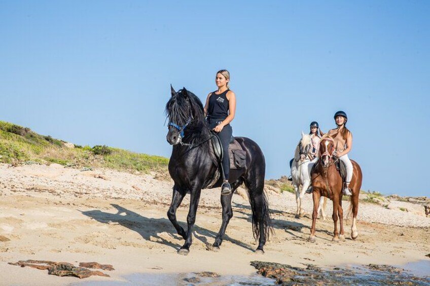 Une plage où l’on peut voir des chevaux et des cavaliers. 2