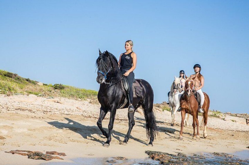 3-Hour Beach Horse Riding to Discover the Beauty of Alcudia Bay 5