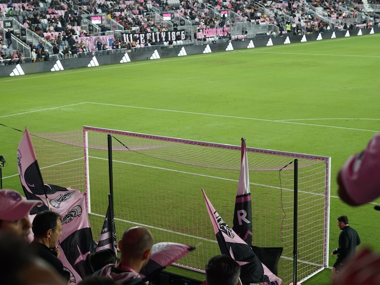 A soccer stadium with fans holding pink and black flags, a goalpost, and a green field. 1