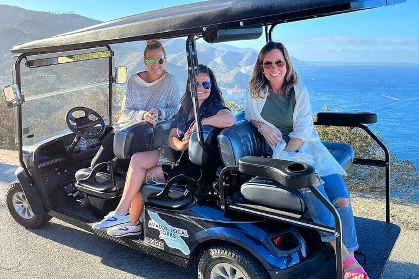 Catalina Island Private 2-Hour Tour of Avalon 2