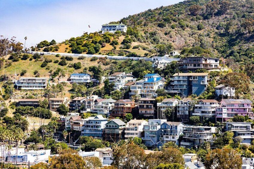 Catalina Island Private 2-Hour Tour of Avalon 3