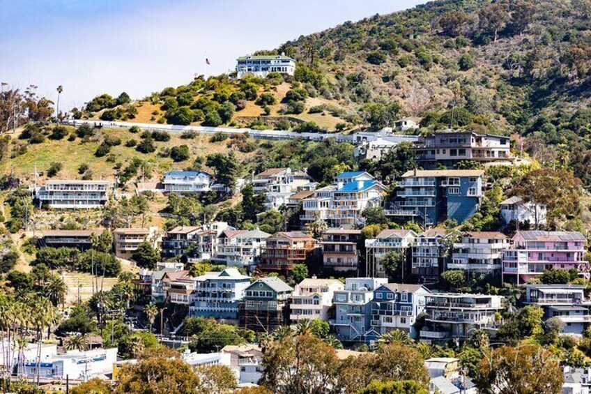 Catalina Island Private 2-Hour Tour of Avalon 3