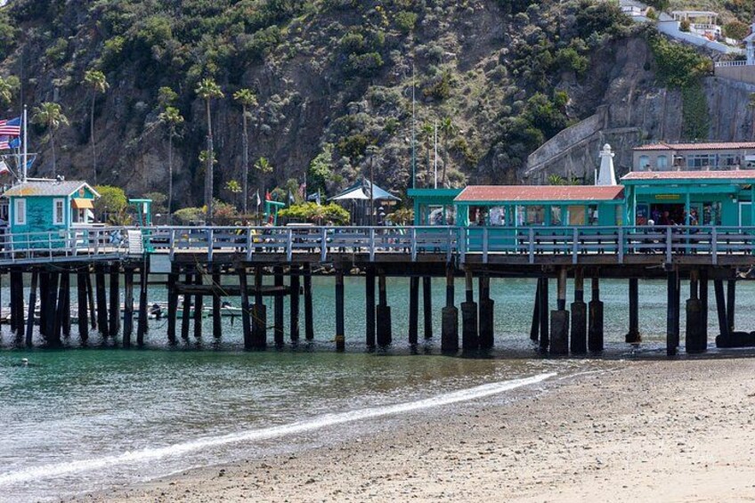 Catalina Island Private 2-Hour Tour of Avalon 3