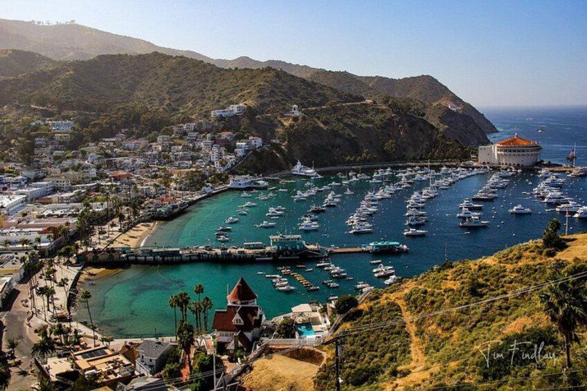 Catalina Island Private 2-Hour Tour of Avalon 1