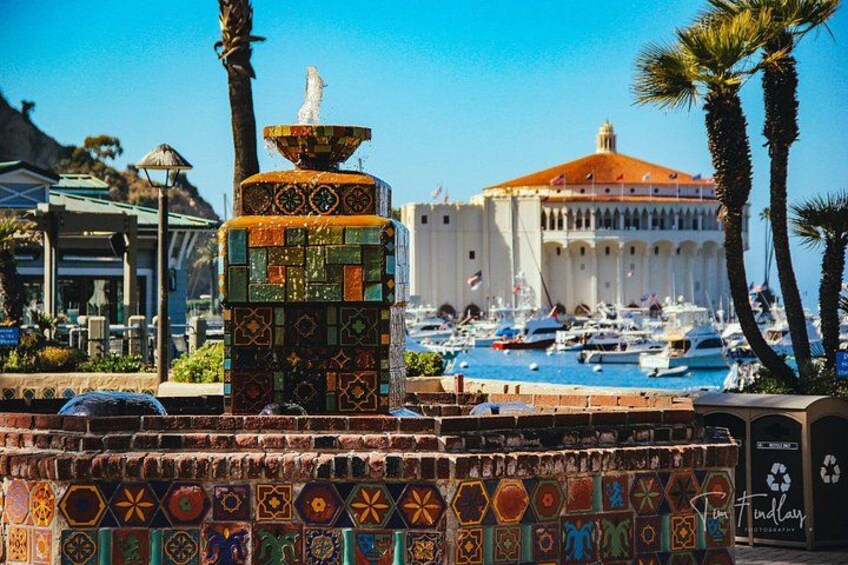 Catalina Island Private 2-Hour Tour of Avalon 2