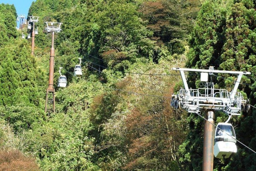 A cable car system in a forested area with multiple cable cars in motion. 4