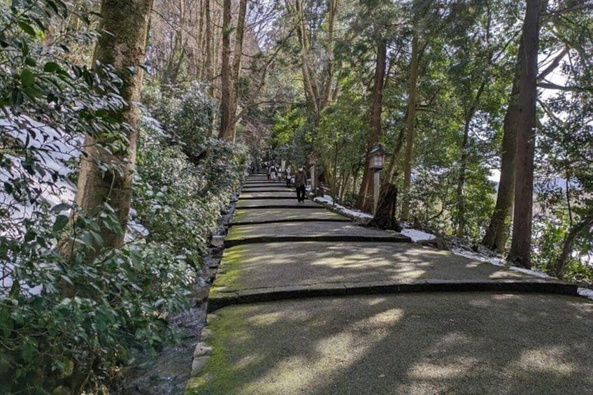 A forested pathway with stone steps leading uphill. 2