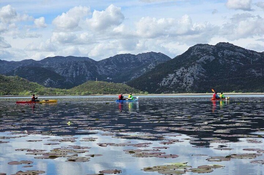 Skadar Lake on kayaks Experience with Spectacular Views