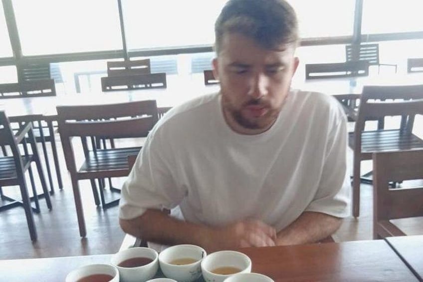 A person sitting at a table with several cups of tea. 3