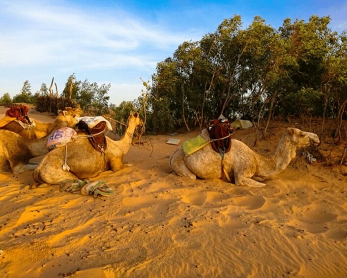 2 Day Trip: Pink Lake -> Night in Lompoul Desert -> St Louis 1