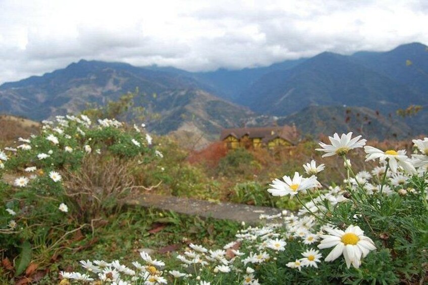 Sun Moon Lake and Qingjing Shared Day Tour Taiwan 3
