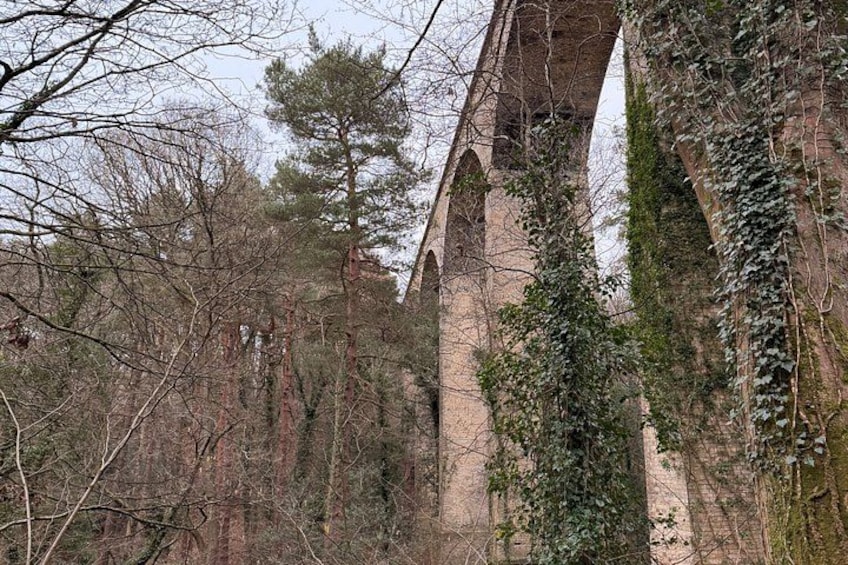 A stone bridge with arched supports, surrounded by trees and overgrown vegetation. 2