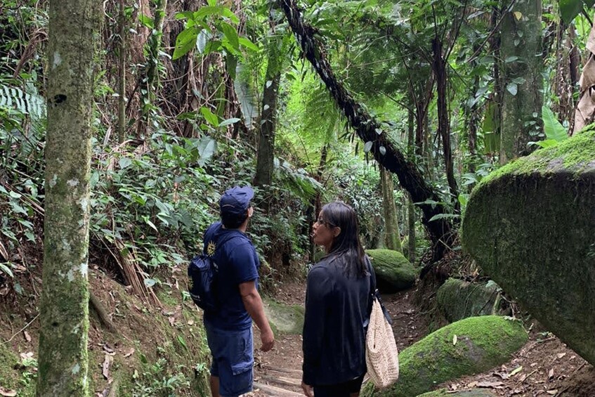 Picture 9 for Activity Paraty: Gold Trail Rainforest Hiking Tour 5