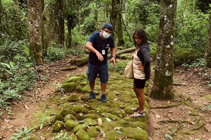 Picture 4 for Activity Paraty: Gold Trail Rainforest Hiking Tour 4