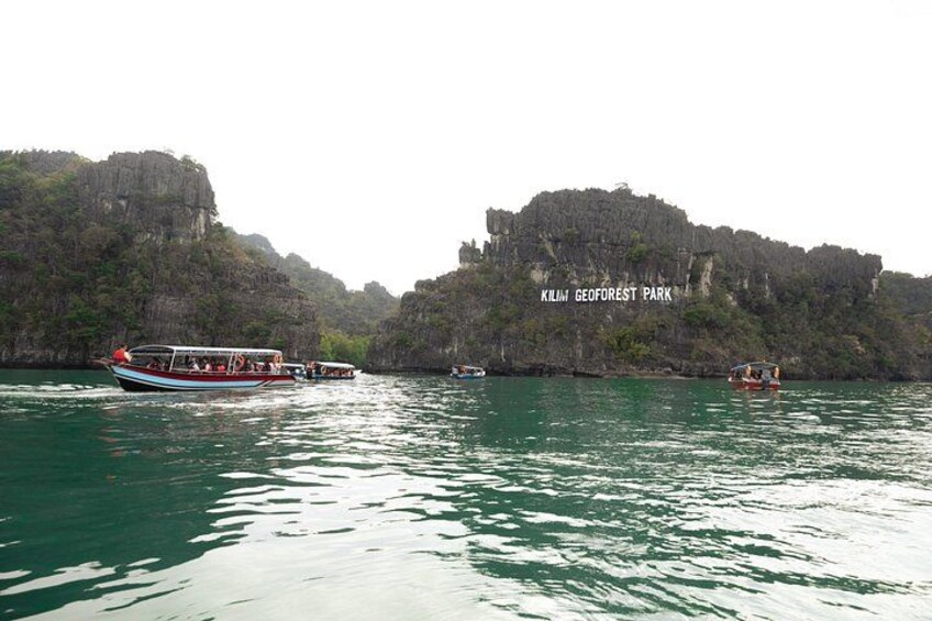 3 Hours Mangrove Boat Tour in Langkawi 2