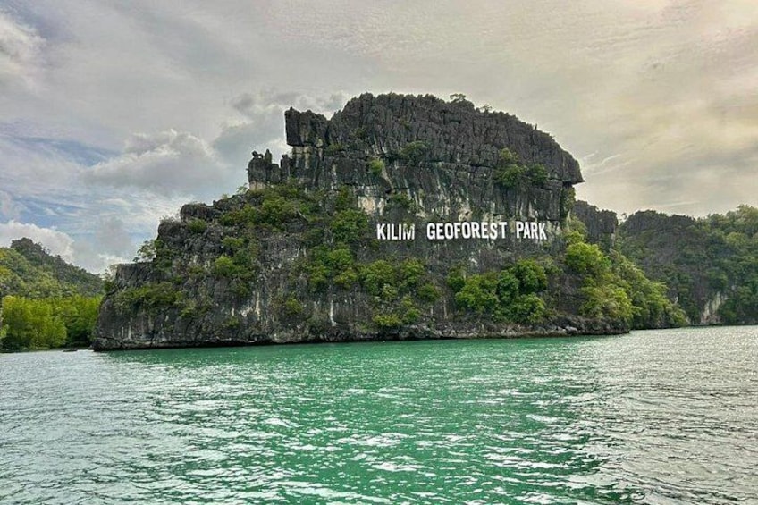 3 Hours Mangrove Boat Tour in Langkawi 1