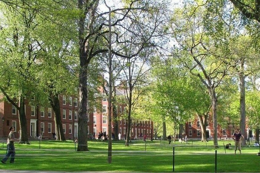 A park with green grass, trees, and red brick buildings. 2