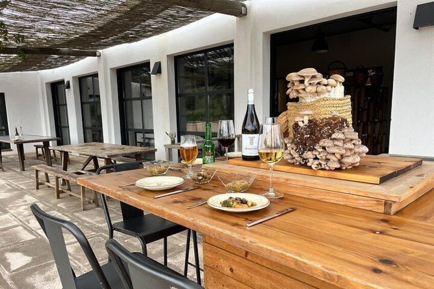 From cultivation to dish : Guided tour and mushroom tasting 2