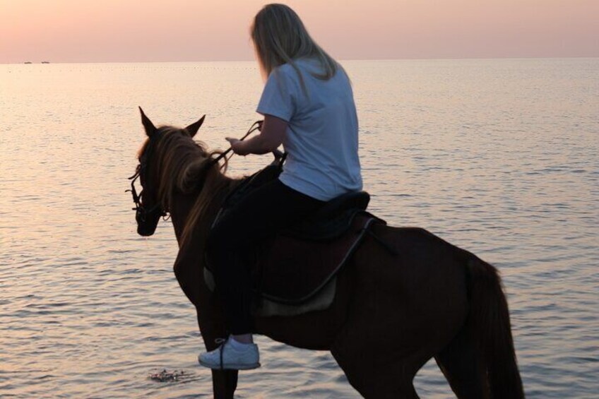 Horse Riding Tour in Antalya, on the Beach and in the Forest