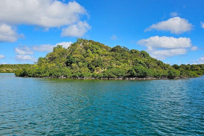 Crystal Kayak & Snorkel Eco Tour (with transfer - 8:15am) 4