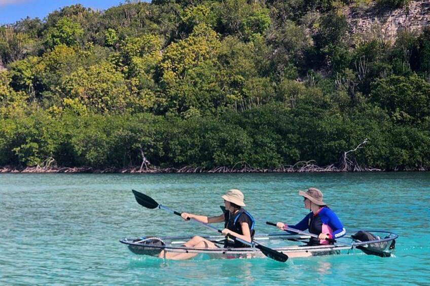 Crystal Kayak & Snorkel Eco Tour (with transfer - 8:15am) 5