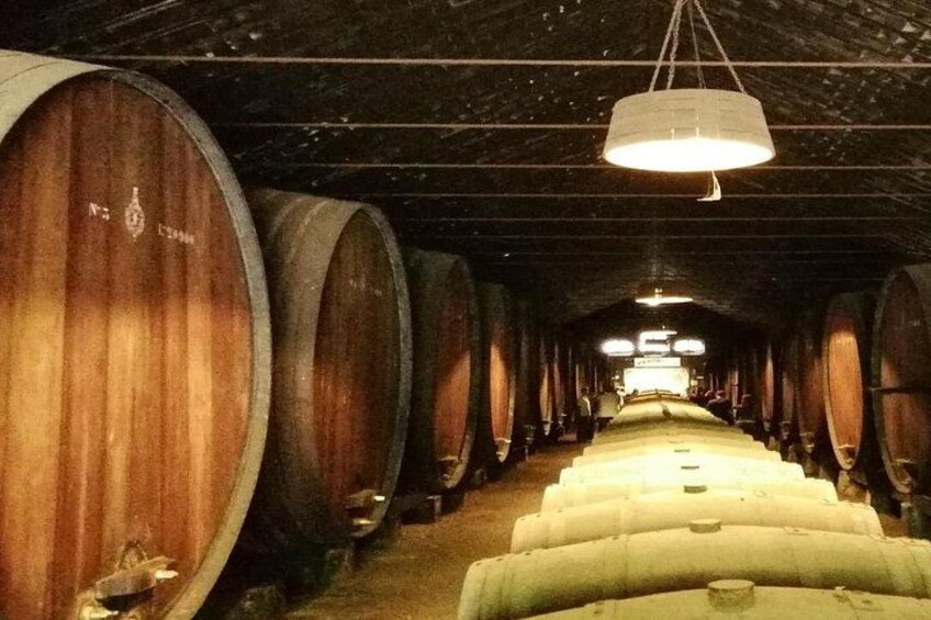 From Lisbon: Winery and Traditional Tile factory in Half Day Tour 2