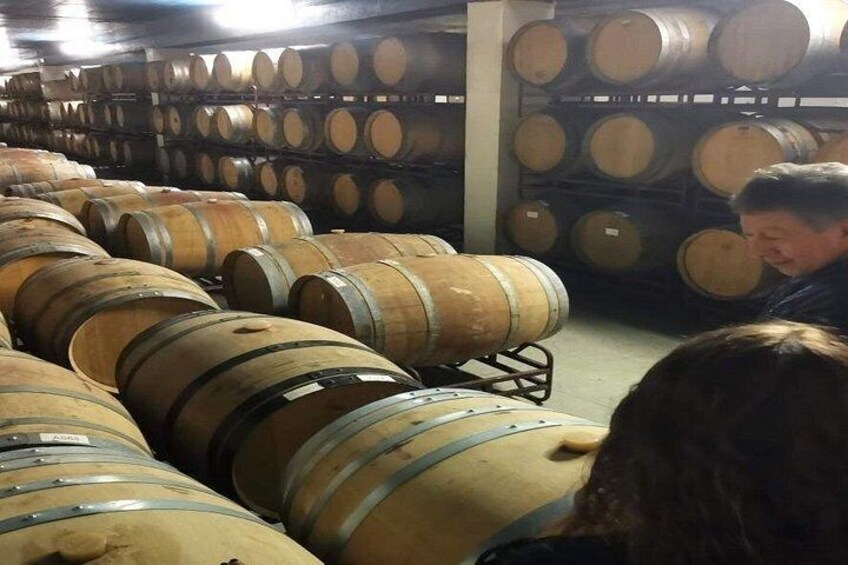 From Lisbon: Winery and Traditional Tile factory in Half Day Tour 3