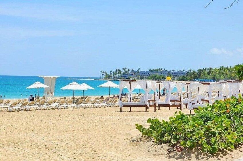 Une plage bordée de rangées de transats et de parasols, un ciel bleu azur et une côte lointaine. 2