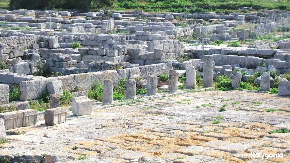 Picture 2 for Activity Gnatia Ruins and Archaeological Museum Private Guided Tour 3