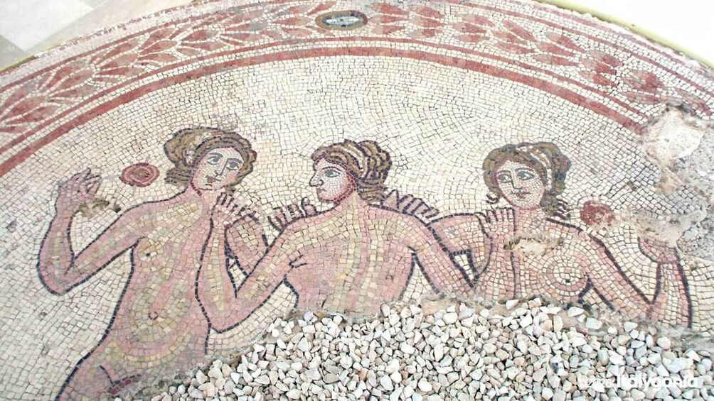 Picture 1 for Activity Gnatia Ruins and Archaeological Museum Private Guided Tour 3